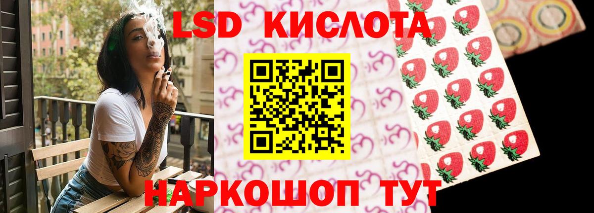 ЛСД экстази ecstasy  Вход с VPN  Заводоуковск 