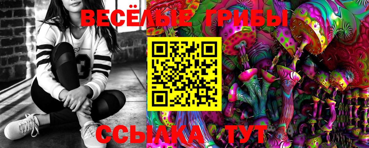 Галлюциногенные грибы GOLDEN TEACHER Заводоуковск