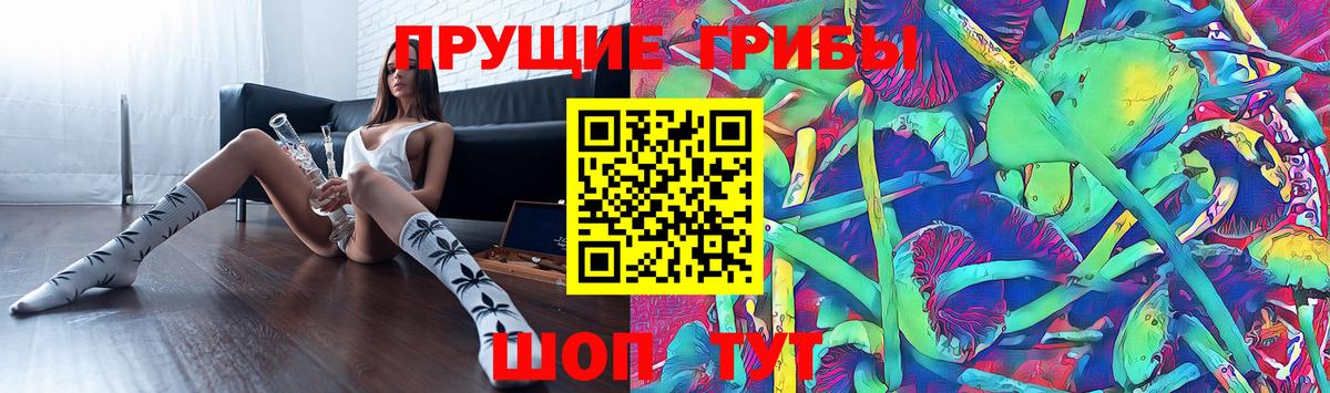 Заводоуковск  Псилоцибиновые грибы ЛСД  Псилоцибиновые грибы GOLDEN TEACHER  Вход с VPN 