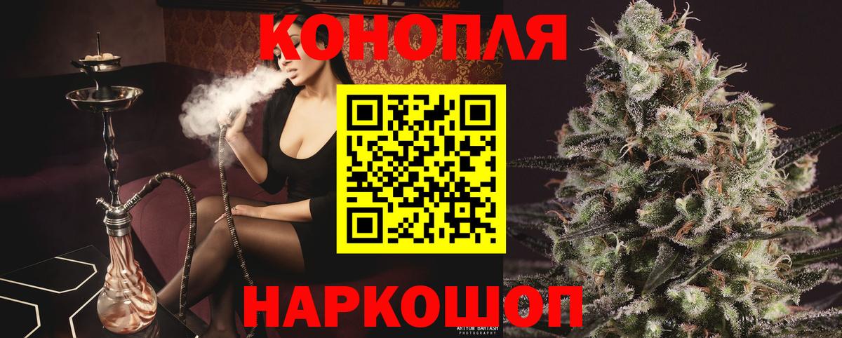 Шишки марихуана конопля  Вход с VPN  Канабис планчик  Заводоуковск 